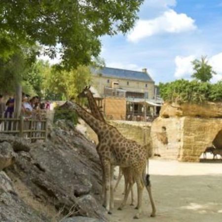 Maison 2-3 Pers Semi-Troglodyte Angers-Saumur Louresse-Rochemenier Екстер'єр фото